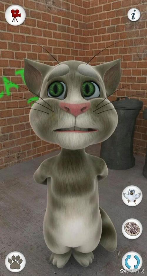 会说话的汤姆猫4.4图标