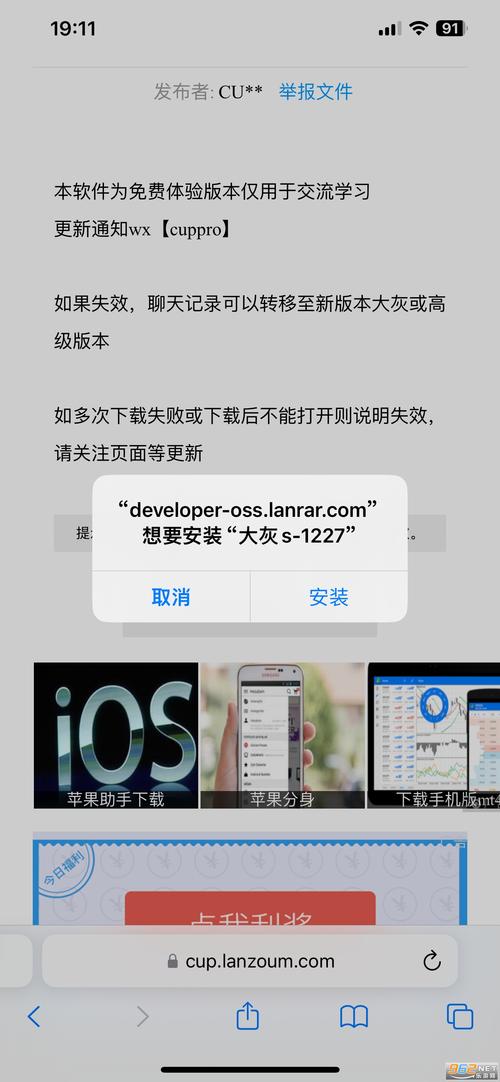 大灰微信分身版苹果免费下载游戏截图