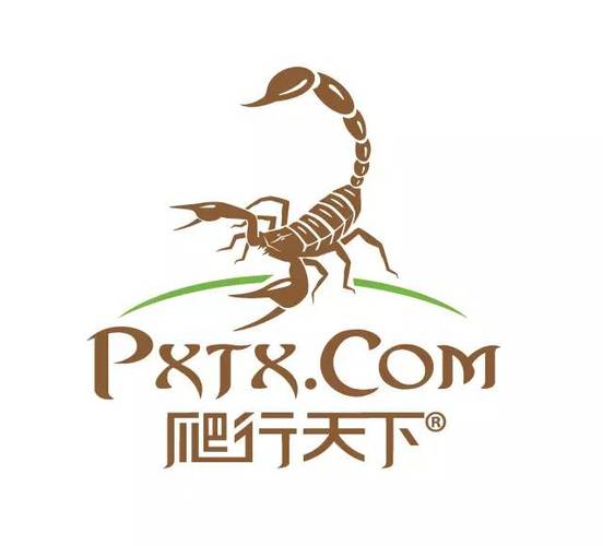 爬行天下