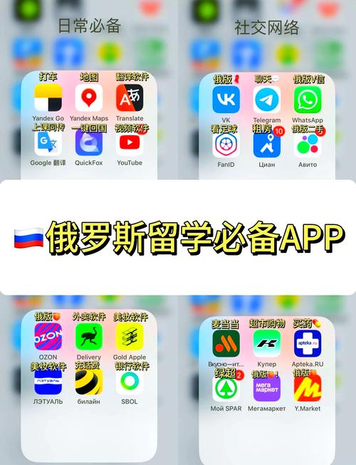 俄罗斯随机匹配的聊天软件俄罗斯全球随机匹游戏截图