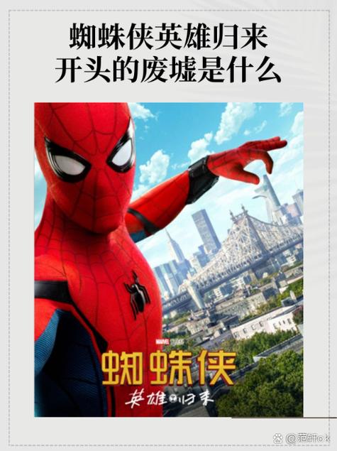 蜘蛛磁力搜索引擎去广告版下载