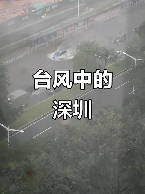 深圳台风网手机版下载