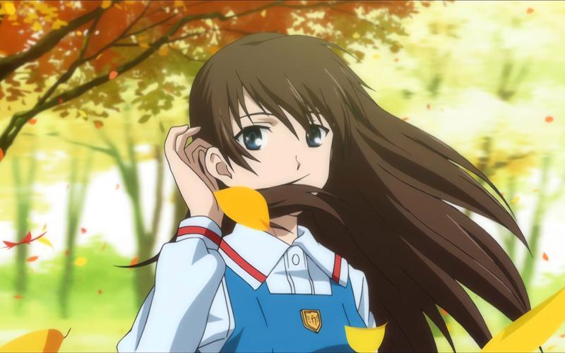 真实之泪