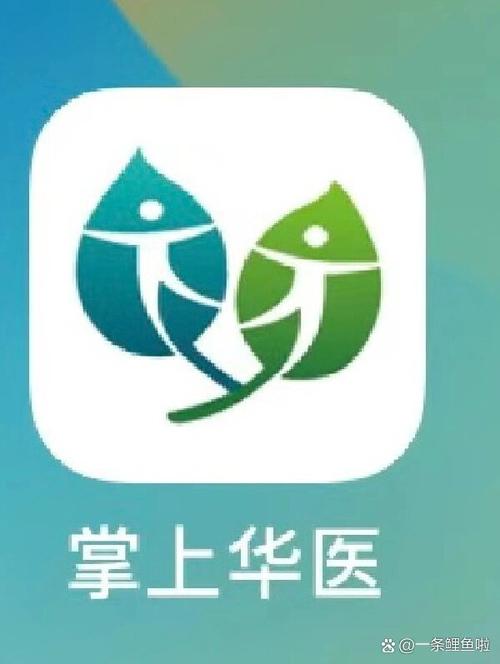 掌上华医游戏截图