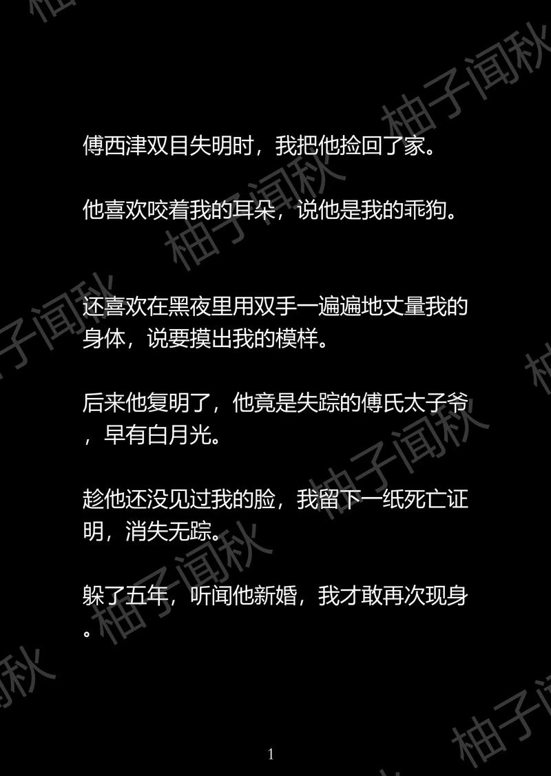 柚子小说