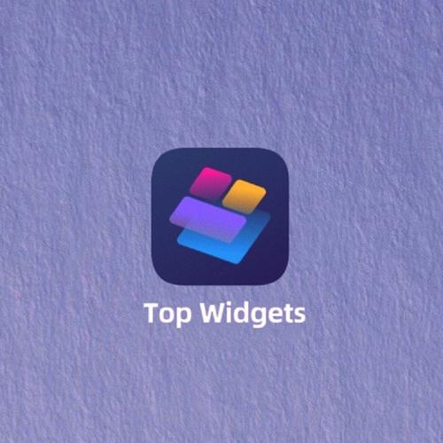 TOPWIDGETS游戏截图