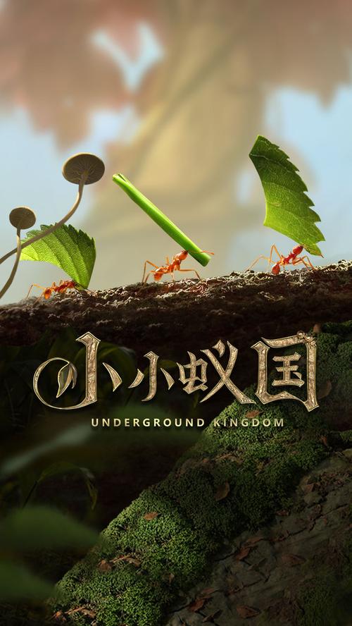 小小蚁国官方版游戏下载