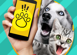 PETTRANSLATOR