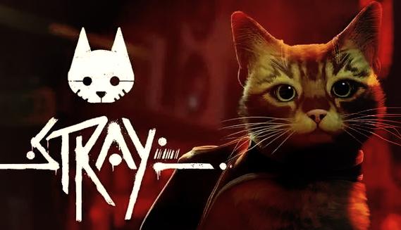 冒险猫