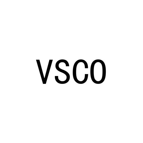 vsco游戏截图