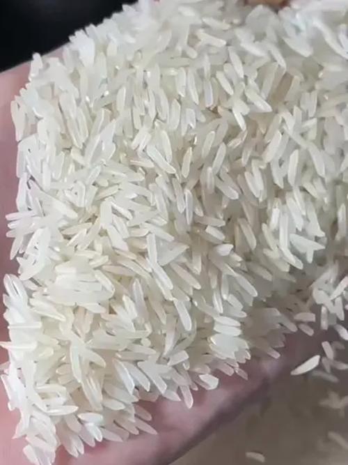 新米视频