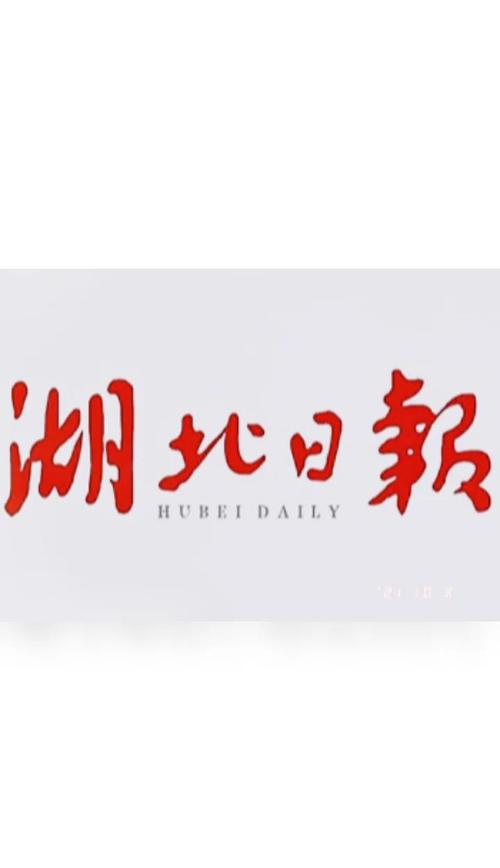 湖北日报电子版游戏截图