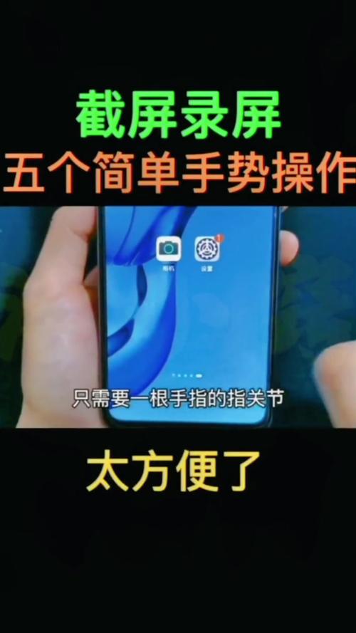 掌中