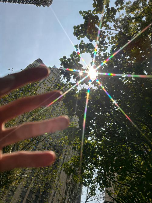 阳光下的真实