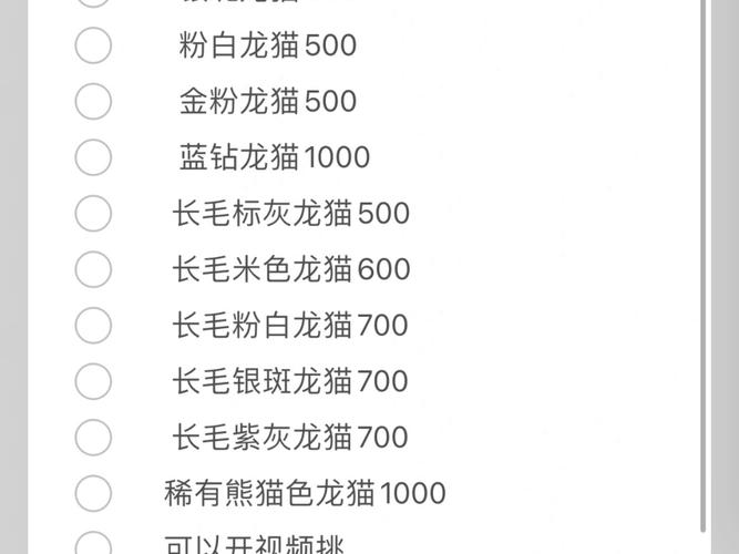 龙猫多少钱