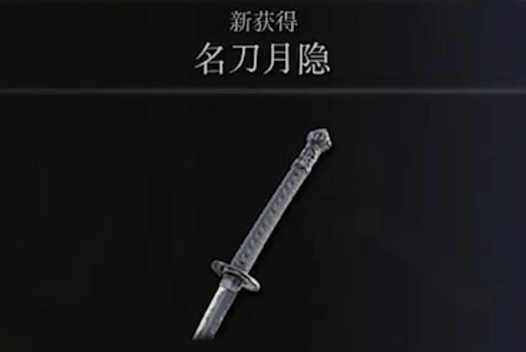 艾尔登法环名刀月隐游戏截图