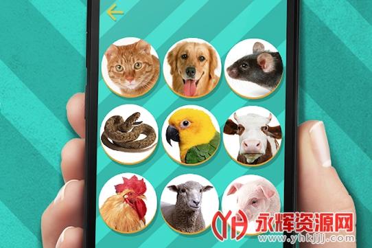 pettranslator动物语言翻译器下载