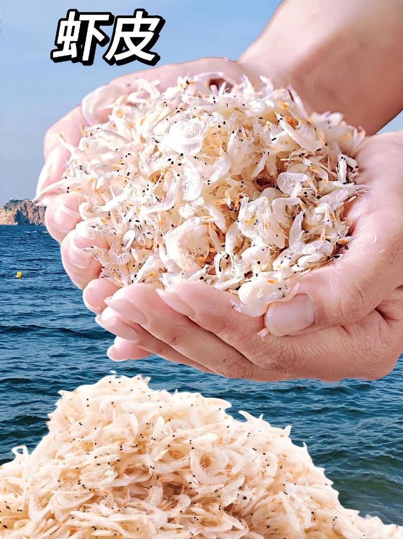 虾皮视频免费版正版下载