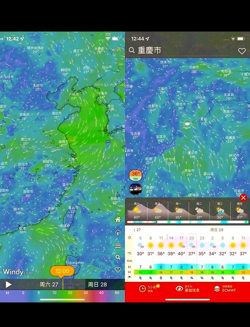 windy气象软件app下载