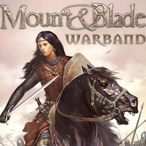 骑马与砍杀战团安卓汉化版下载游戏截图