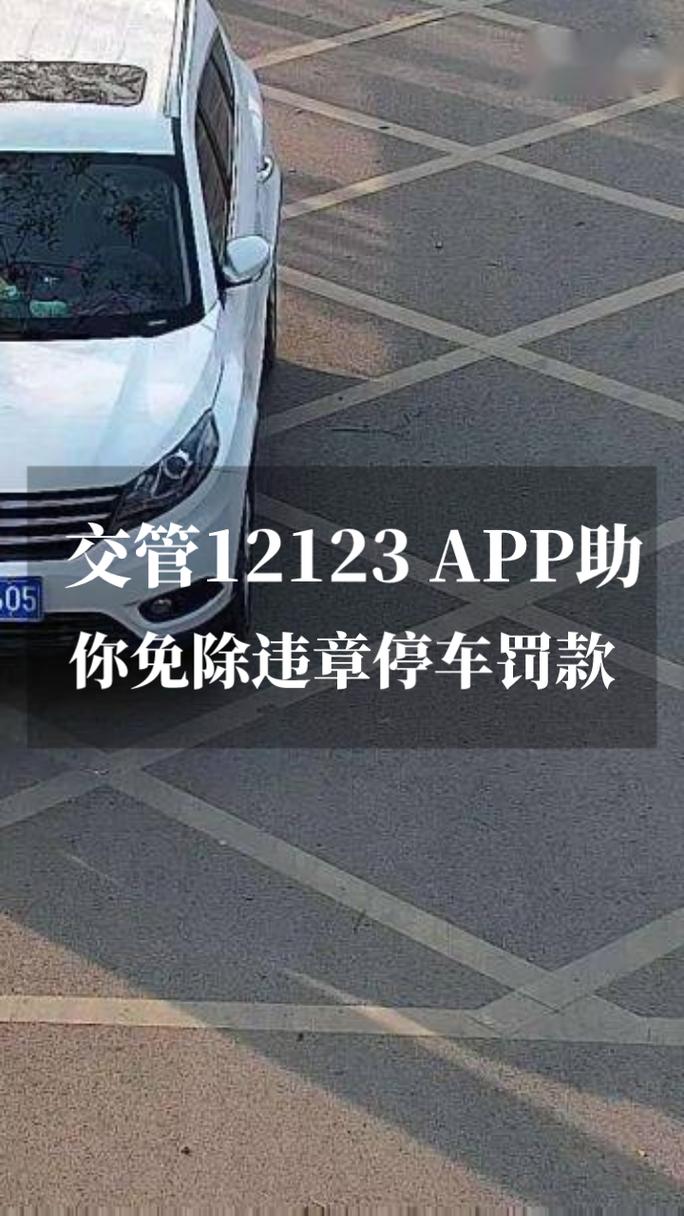 123123违章车辆查询缩略图