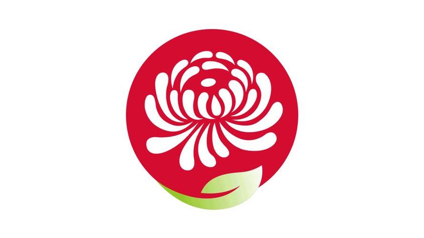 菊花直播