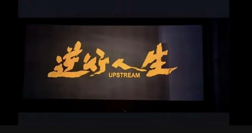 逆转人生免广告游戏截图