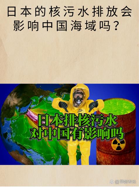 学者:海啸对日本影响比预计的要小