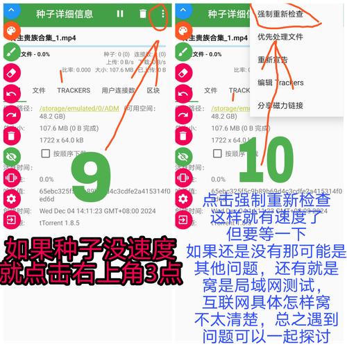 bt种子怎么用