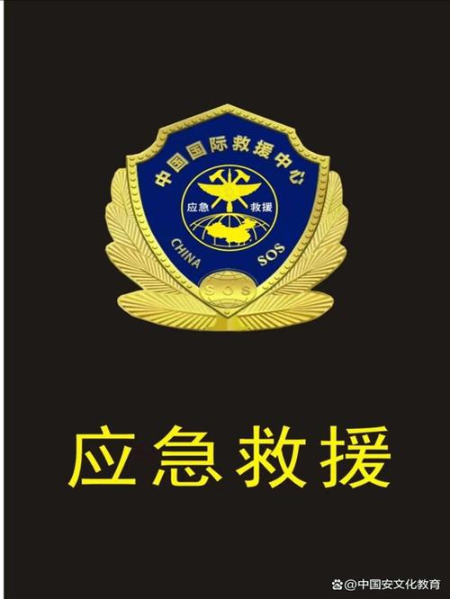 紧急任务游戏截图
