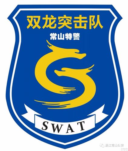 反恐突击队中文版