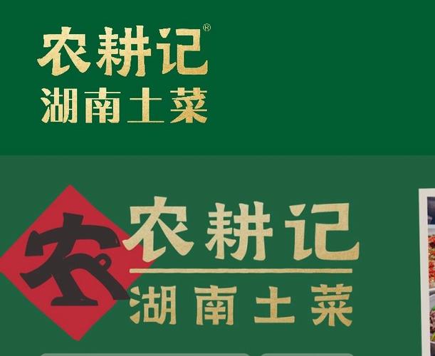 种田文是什么意思图标