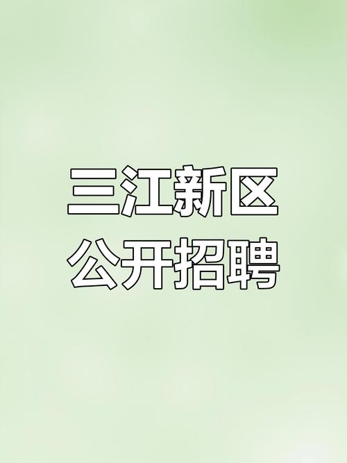 三江人才网app游戏截图