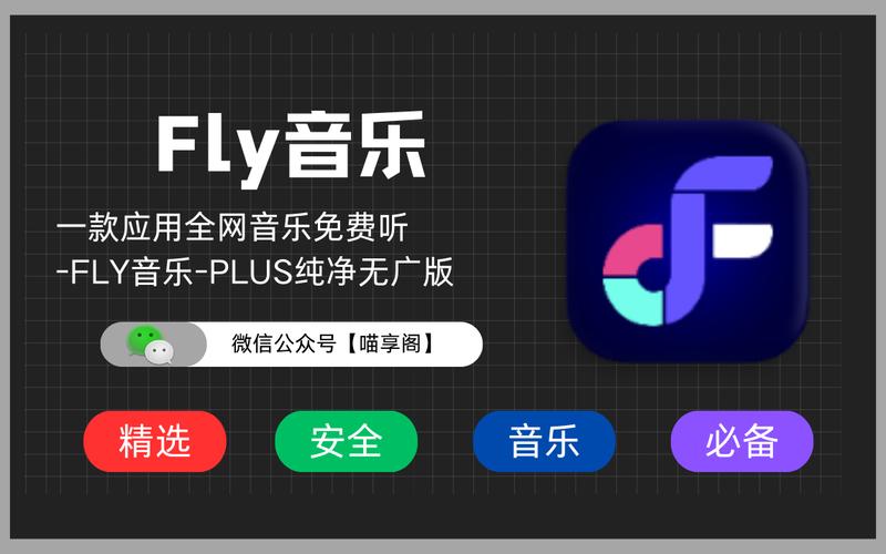 Fly音乐无广告版安装
