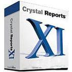 2013CrystalReports(水晶报表奖励版游戏截图