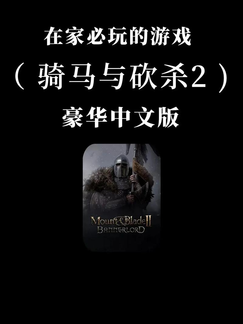 骑马与砍杀秘籍都有什么游戏截图