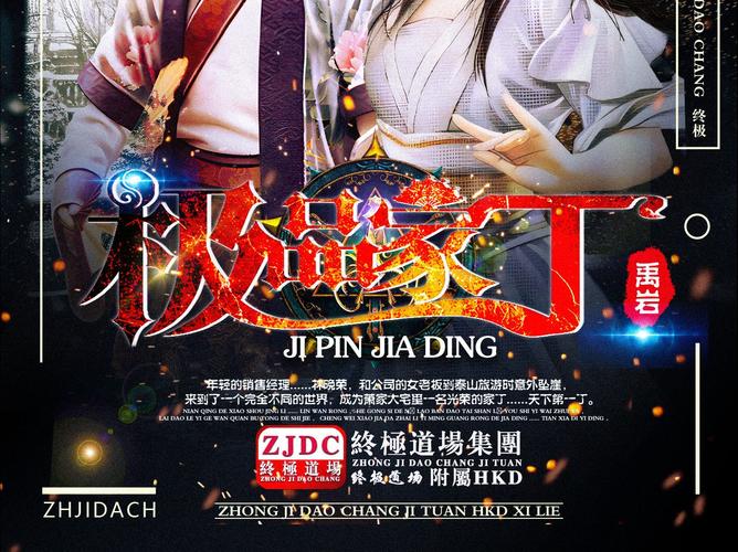极品家丁下载