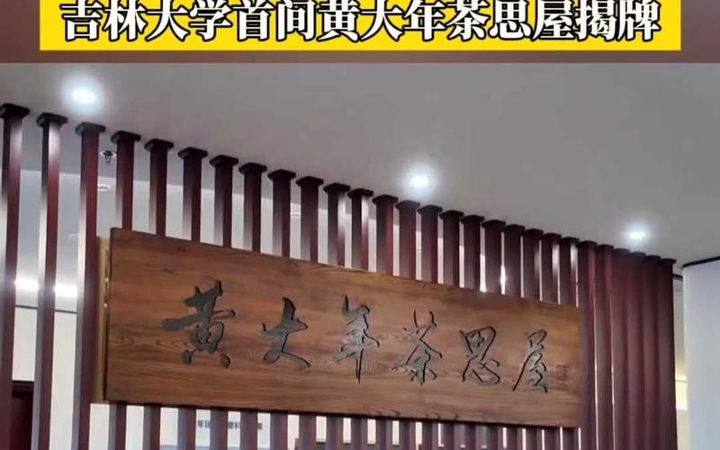 黄大年茶思屋游戏截图
