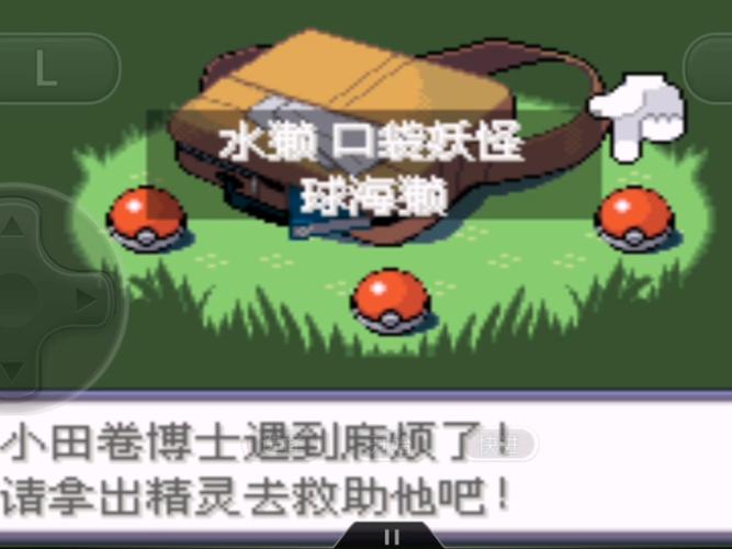 口袋妖怪漆黑的魅影挑战渡图文攻略