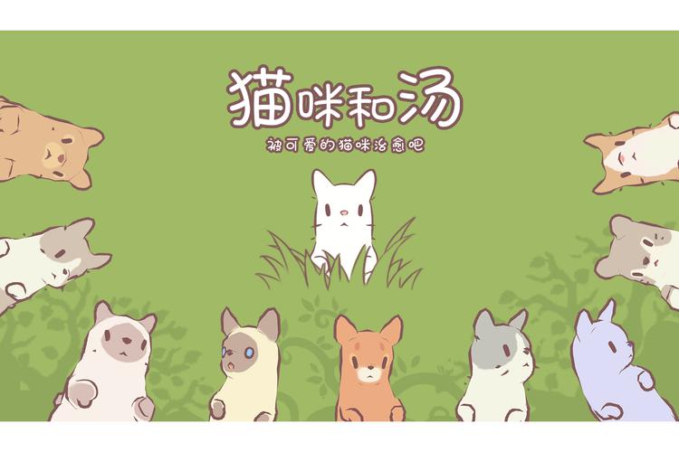 猫咪和汤