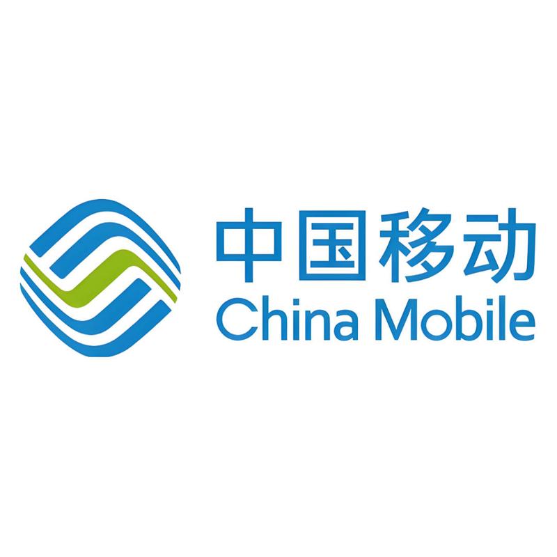 中移网大