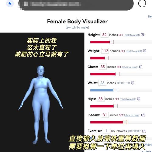 bodyvisualizer身材模拟器免费版图标
