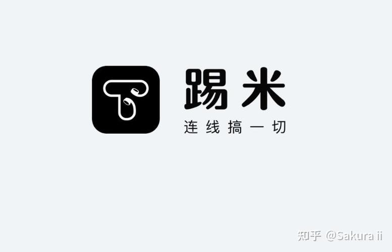 踢米(timing)正版