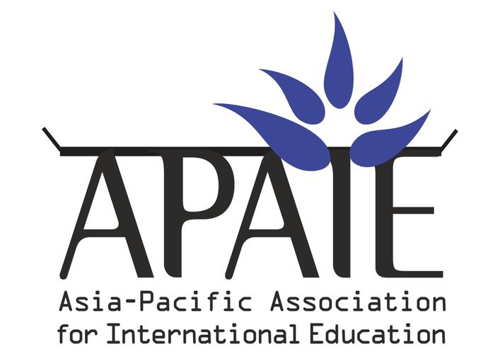 Apabi游戏截图