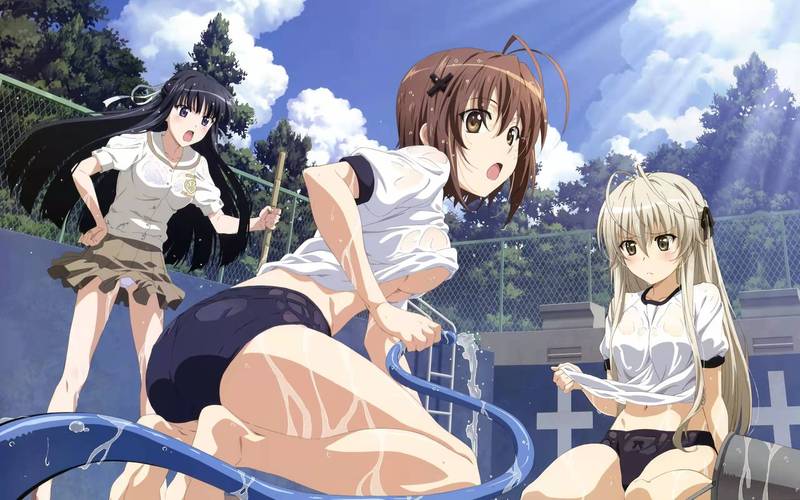 缘之空最新版