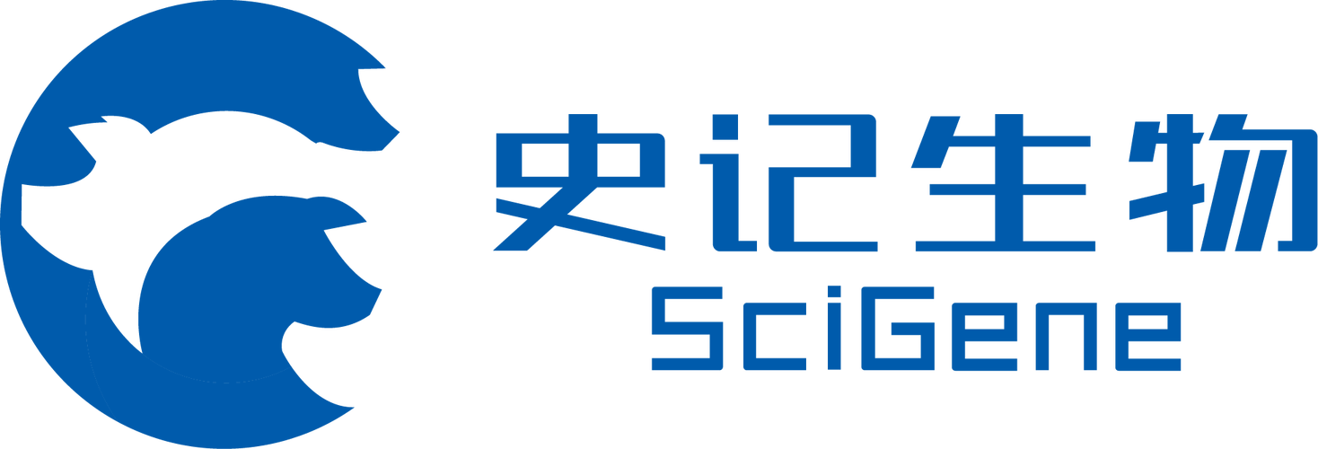 史记app游戏截图