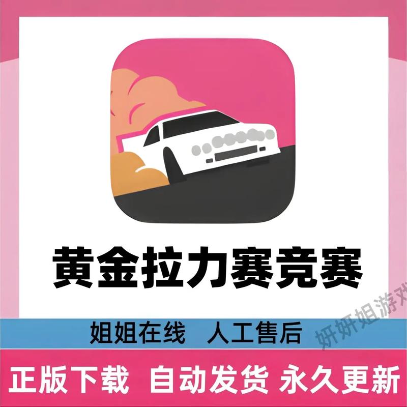 黄金拉力赛