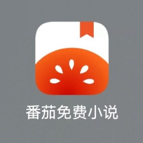 辣文小说app游戏截图