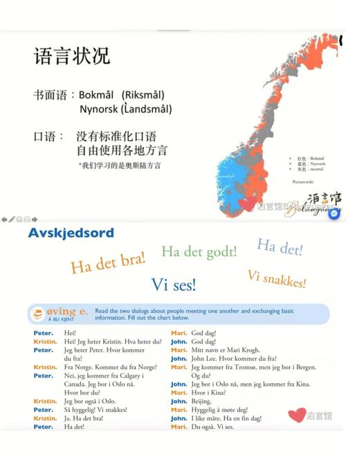 挪威人说什么语言