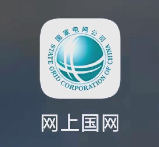 网上国网app官方下载安装